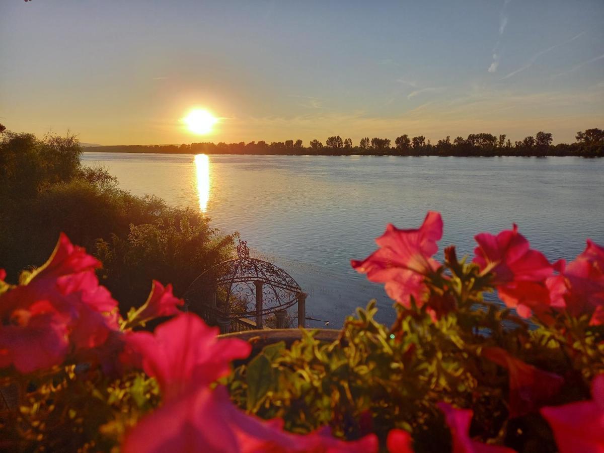 Vila Jugovo S Смедереве Екстер'єр фото